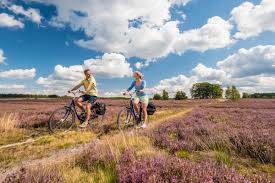 Die 24 Schonsten Radtouren In Der Nordheide