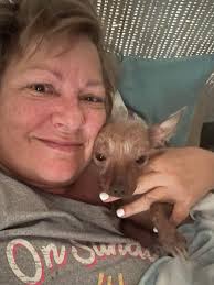 Husky meet up at my local dog park this morning <3