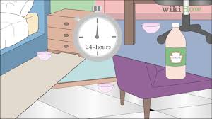 Be careful because it can bleach surfaces. 5 Ways To Get Skunk Smell Out Of The House Wikihow