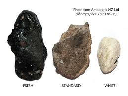 But not in a shiny, glittery form, instead they look like a rock which smells, too. Surfing Articles Latest Surf News Videos Photos At Surfline Raw Materials Sweet Scents Expensive Perfume