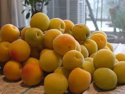 Ume Are Japanese Apricots Known For Their Unique And Sour Taste They Are Seldom Eaten Directly But Are Primarily Used To Make Umebos Fruit Japanese Sour Taste