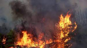 Las chispas salen de una casa en llamas mientras un incendio forestal asola la región de las golondrinas, provincia de chubut, argentina, el miércoles 10 de marzo de 2021. Incendio En Grecia Jpeg Venezuela