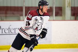 Fairbanks forward Mobley makes NCAA DI commitment