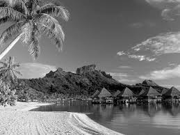 74 Black And White Nature Wallpaper On Wallpapersafari Checkout high quality nature wallpapers for android, pc & mac, laptop, smartphones, desktop and tablets with different resolutions. 74 black and white nature wallpaper