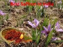 Image result for How Much Is Saffron In south Africa