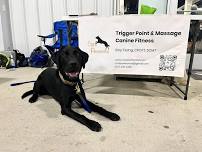 Core Pawtential | Ocean State Agility Club AKC Agility Trial