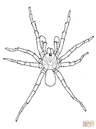 Pin By Birgit Keys On Clip Art Butterflies Etc Spider Coloring Page Coloring Pages Spider