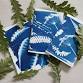 BOTANICAL CYANOTYPES & BOOKMAKING, £35 event in Skipton