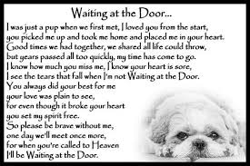 Shih Tzu Dog Pet Loss Memorial Bereavement Fridge Magnet Gift Etsy Dog Poems Pet Loss Shih Tzu Dog