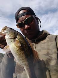 Does anyone else have a problem with live bream dying quick