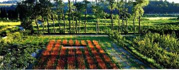 Jardin Romain Pascal Cribier Paysagiste Parc Et Jardin Jardins