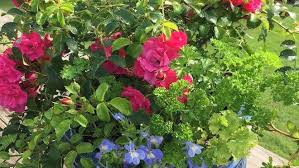 Browse by colour, size, & more. Gardening Tips For Weathering Extreme Weather