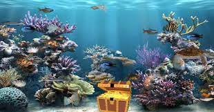 Wallpaper pc bergerak anime supaya wallpaper bagus serta lain dari yang lain kita telah ulas buat anda dengan beberapa macam contohnya gambar wallpaper cantik serta anda juga dapat menggunakanya di handphone. Free Download Wallpaper Windows 8 Bergerak Summer Photography 1 Desktop Wallpaper Animated Desktop Backgrounds 3d Animation Wallpaper