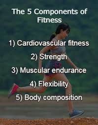 Pin On Exercise