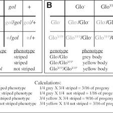 Available for pc, ios and android. Pdf Learning The Scientific Method Using Glofish