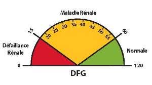 En théorie des probabilités et en statistique. Une Explication Des Resultats Des Tests De Votre Fonction Renale Un Outil Pour Visite Medicale Niddk