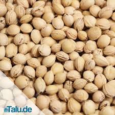 Zum beispiel, wenn ich einen neuen computer kaufe, kann gerade am anfang kann man leicht fehler machen. Warmekissen Kornerkissen Die Richtige Fullung Wahlen Talu De