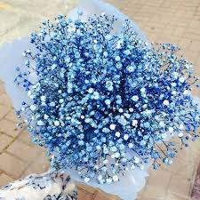 Flowers Roses Carnations Wedding Flowers Bouquets Wildflowers Christmas Decorat Blue Flower Arrangements Birthday Flowers Arrangements Flower Arrangements