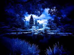 Blue Evening Desktop Nexus Wallpapers Seattle Japanese Garden Forest Images Surreal Landscape