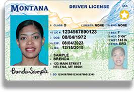 A gold star in the upper right corner of a driver's license indicates that it has met federal standards. Montana Real Id It S The Real Me Driver Licenses Ids
