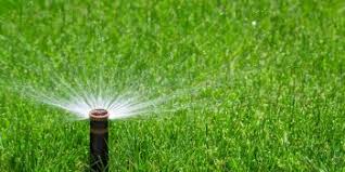 You could handpick them or use. Best Time To Water Lawn In Hot Weather Ryno Lawn Care Llc