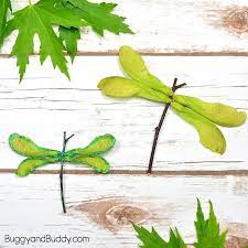 Turn Those Maple Or Helicopter Seeds Into A Cool Dragonfly Dragon Fly Craft Tree Crafts Crafts For Kids