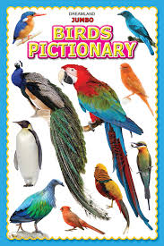 Jumbo Birds Pictionary