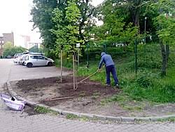 Guerrilla gardening involves people beautifying public space, with or without permission. Guerrilla Gardening Wikipedia