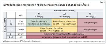 Akutes Und Chronisches Nierenversagen Definition Diagnose Management