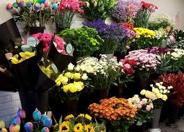 Coral oaks golf course is a great place to work on your game, and if history is your thing or you just love beautiful flowers, don't forget to check. Enchanted Flowers Florist Paisley 0141 237 4343
