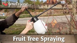 Organic pesticides for fruit trees. Fruit Tree Spraying For Dormant Trees Youtube