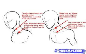 Anime necks are usually more slender than real necks (especially for female characters). Anime Neck Creative Art