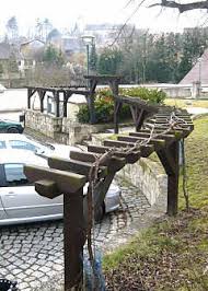 Image result for pruning grapes on a pergola
