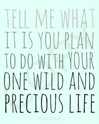 8x10 Mary Oliver Tell Me What It Is You Plan To Do Joyprints 7 00 Done Quotes Mary Oliver Quotes