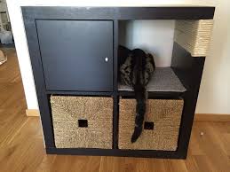 Kallax Cat Scratching Furniture In 2020 Cat Scratching Furniture Kallax Dog Storage