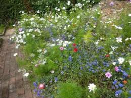 The purpose of a planting bed is to provide a showcase for ornamental plants beds and borders can be used to balance a garden, perhaps placed across from large objects like. Garden Borders The Enduring Gardener