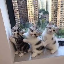  Wahdahtsa Risa Wahdahtsanurris Profil Pinterest