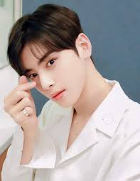 Cha Eun woo favorite's