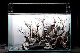 Great Hard Scape For My 60cm Tank More Inspiration For 20l Fish Aquarium Decorations Aquascape Aquarium Fish Tank Design