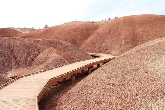 Oregon's Painted Hills: Complete Visitor's Guide — Pines and Vines