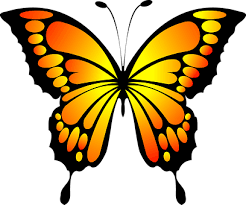 Die 60+ besten bilder zu malen lernen für künstlerkinder. 2 000 Kostenlose Schmetterling Insekt Illustrationen Pixabay