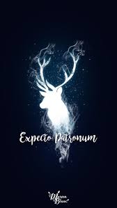 Harry Potter Marion Blanc Harry Potter Background Harry Potter Wallpaper Harry Potter Images