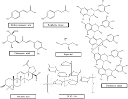 Image result for Psophocarpus lancifolius