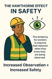 Image result for Observed Affect