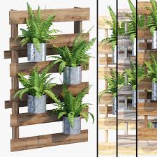 Fern Hanging 3d Model In 2020 Hanging Plants Vertical Garden Ferns