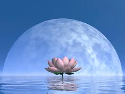 Resultado de imagem para full moon magic