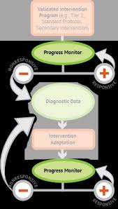 progress monitor national center on intensive intervention