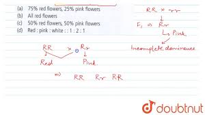 We did not find results for: If Four O Clock Plants The Gene For Red Flower Colour R Is Incompletely Dominant Over Youtube