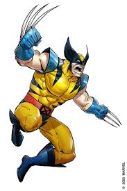 Wolverine access lets you build your own page linking to all the university tools you need as a member of the michigan community. From Panel To Play Wolverine Atomic Mass Games