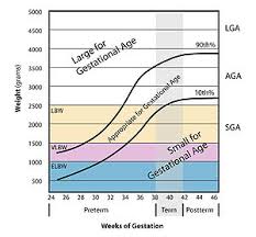 Small For Gestational Age Wikipedia